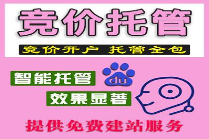 竞价推广开户效果显著案例